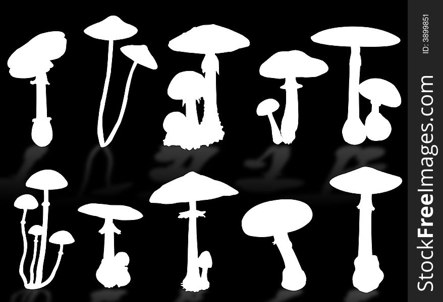 Mushrooms silhouette as symbol of autumn season