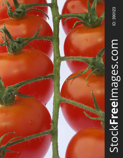 Cherry tomatoes. Close up of red cherry tomatoes