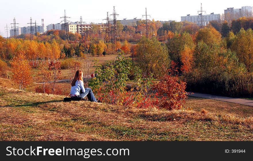 Girl on a background of autumn trees. Girl on a background of autumn trees