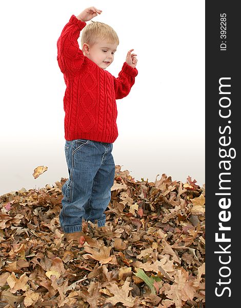 Adorable Two Year Old Playing In Leaves