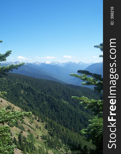 The Olympic mountain range in Washington State. The Olympic mountain range in Washington State