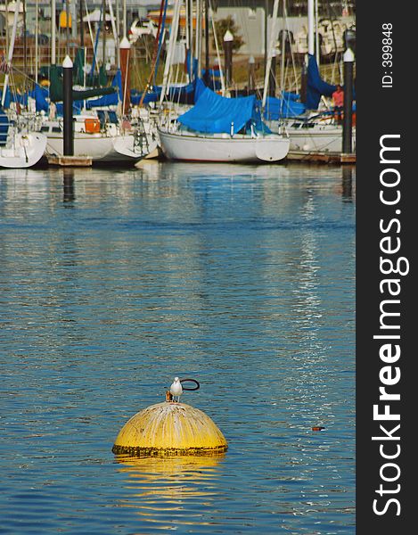 Marina at Santa Cruz, California. Marina at Santa Cruz, California