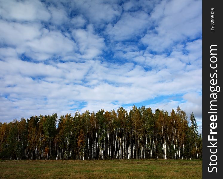 Very beautiful season in latvia -colourful autumn