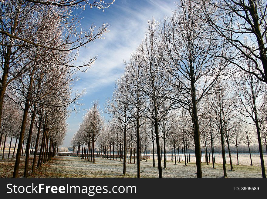 Beautiful winter landscape in the park