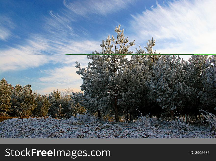 Beautiful winter landscape in the park