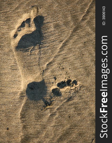Shot of a footprint left in the sand on a Santa Cruz beach. Shot of a footprint left in the sand on a Santa Cruz beach.