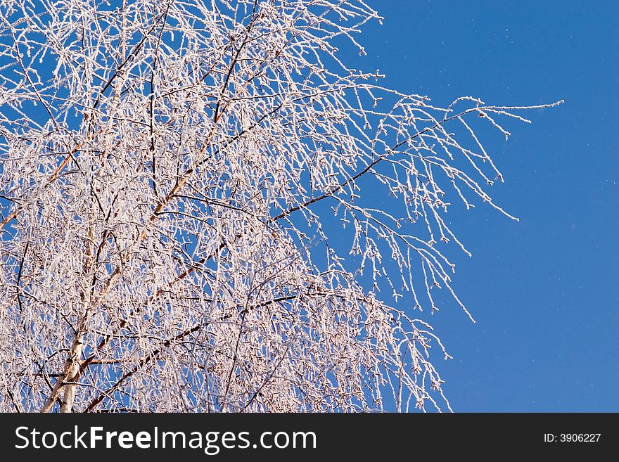 Winter landscape: frozen trees over blue sky