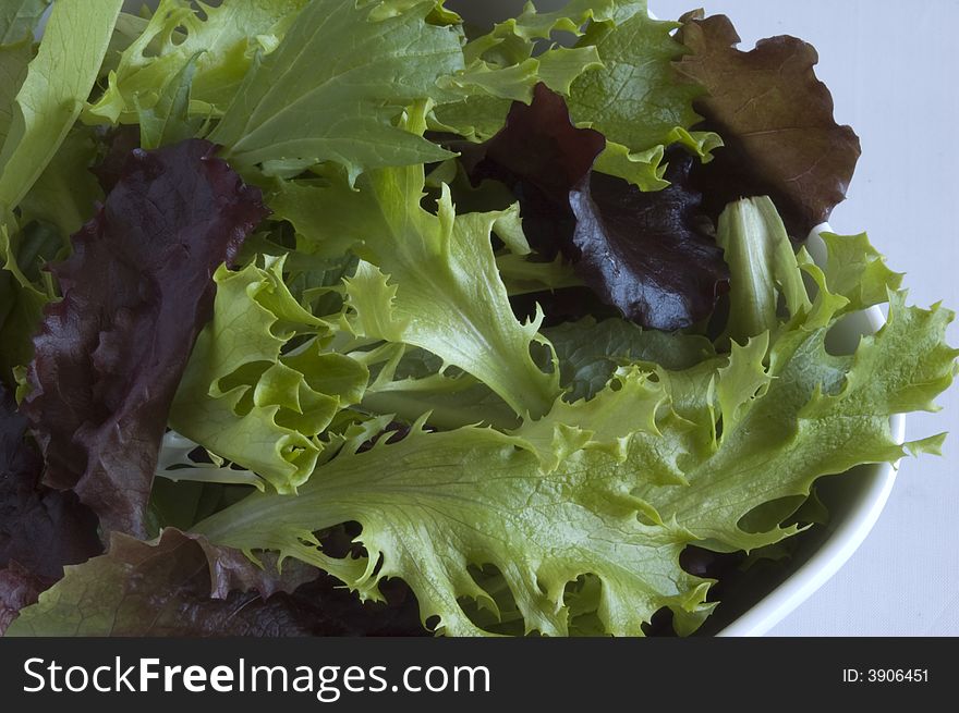 A fresh mixed greens salad in a white bowl.