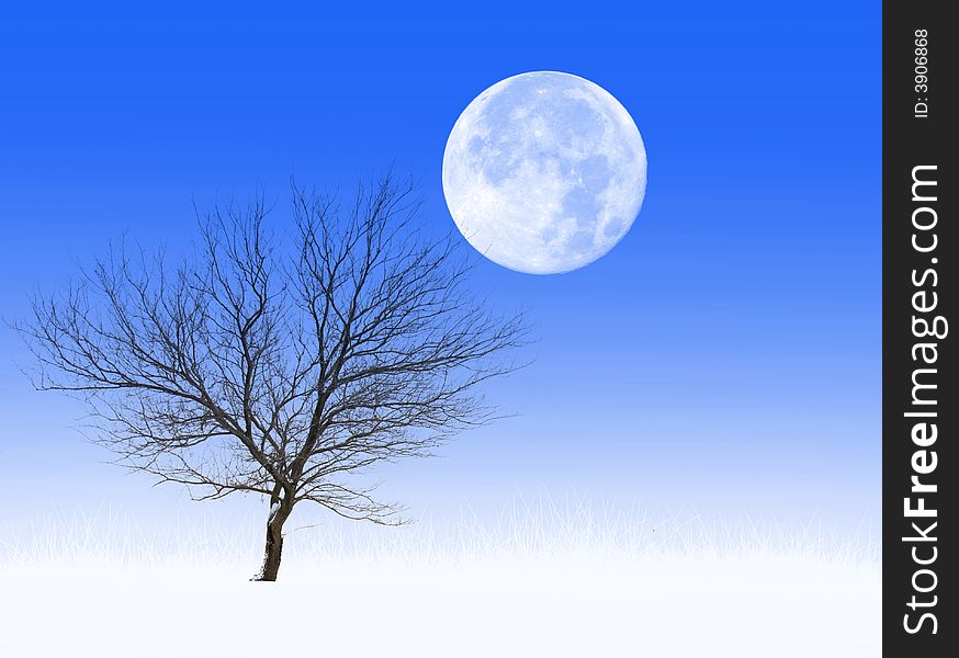 Bare tree in a frosted grass field, with full moon above. Bare tree in a frosted grass field, with full moon above