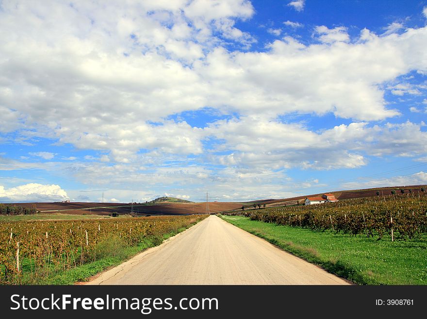 Road in the autumn vineyards, green & gold Country. Autumnal travel background. Sicily