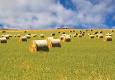 Hay Stock Image Hay Stock Image