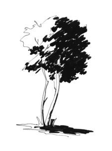 Sketch Of Lonely Tree Royalty Free Stock Photography Sketch Of Lonely Tree Royalty Free Stock Photography