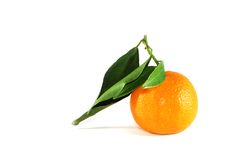 Tangerine Or Mandarine Stock Image Tangerine Or Mandarine Stock Image