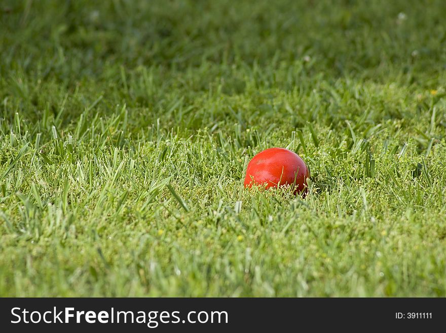 A lone red croquet ball awaits the next player.