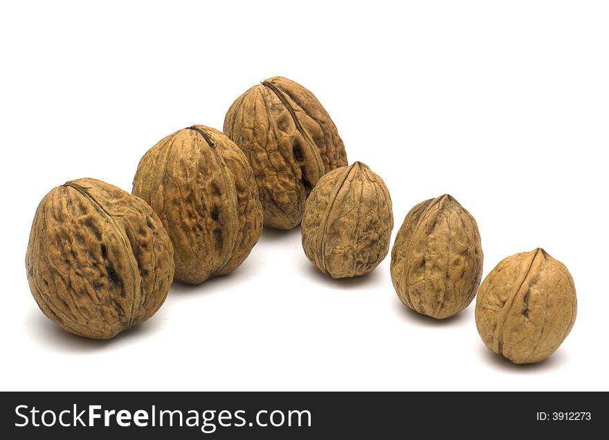 Big and small walnuts on white background