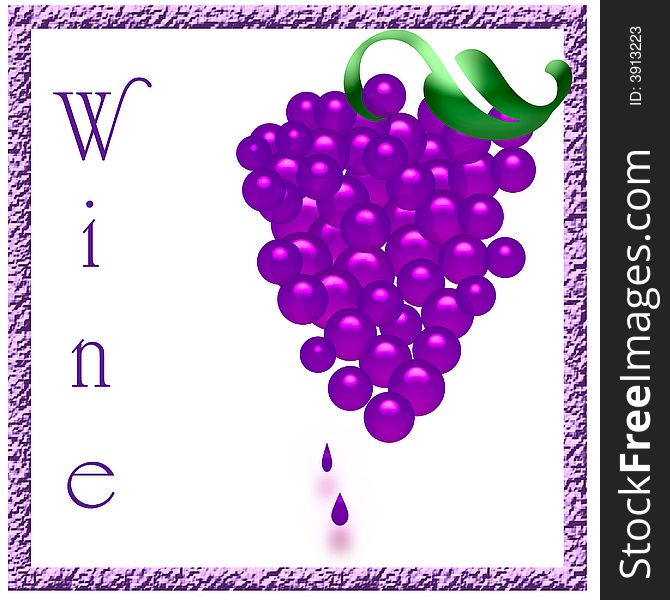 Purple cluster of grapes wine poster illustration. Purple cluster of grapes wine poster illustration