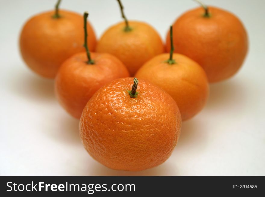 Six Mandarins against a white background. Six Mandarins against a white background