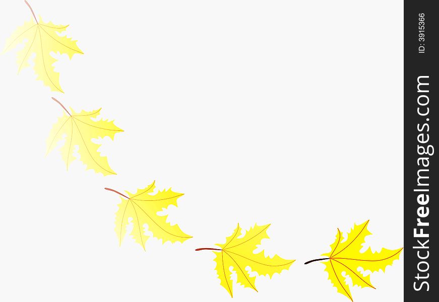 The vector image of a falling leaf. The vector image of a falling leaf
