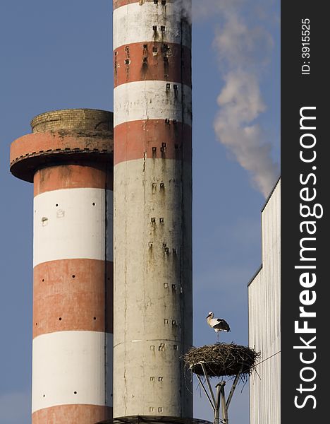 Stork near power plant with smoke. Stork near power plant with smoke