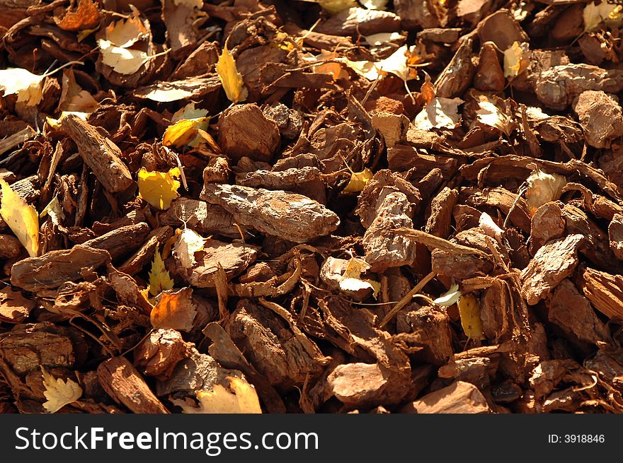 Golden background of fallen autumn leaves and tree bark. Golden background of fallen autumn leaves and tree bark