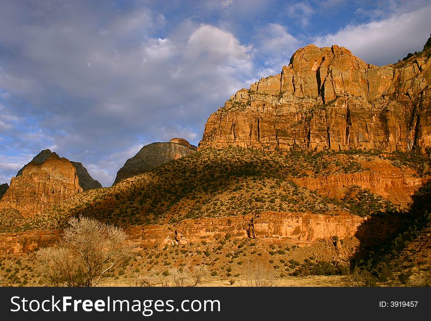 Cliffs of Zion National Park