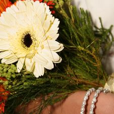 Bride Holding Bouquet Royalty Free Stock Photography Bride Holding Bouquet Royalty Free Stock Photography
