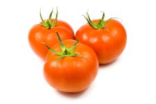 Three Full Tomatoes Isolated Royalty Free Stock Image