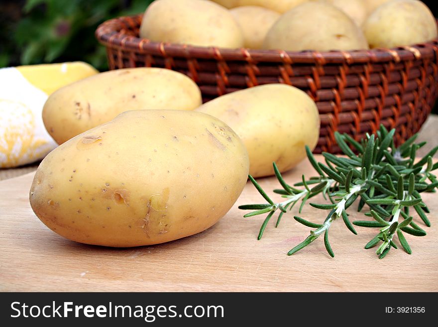 Young potato on the soil