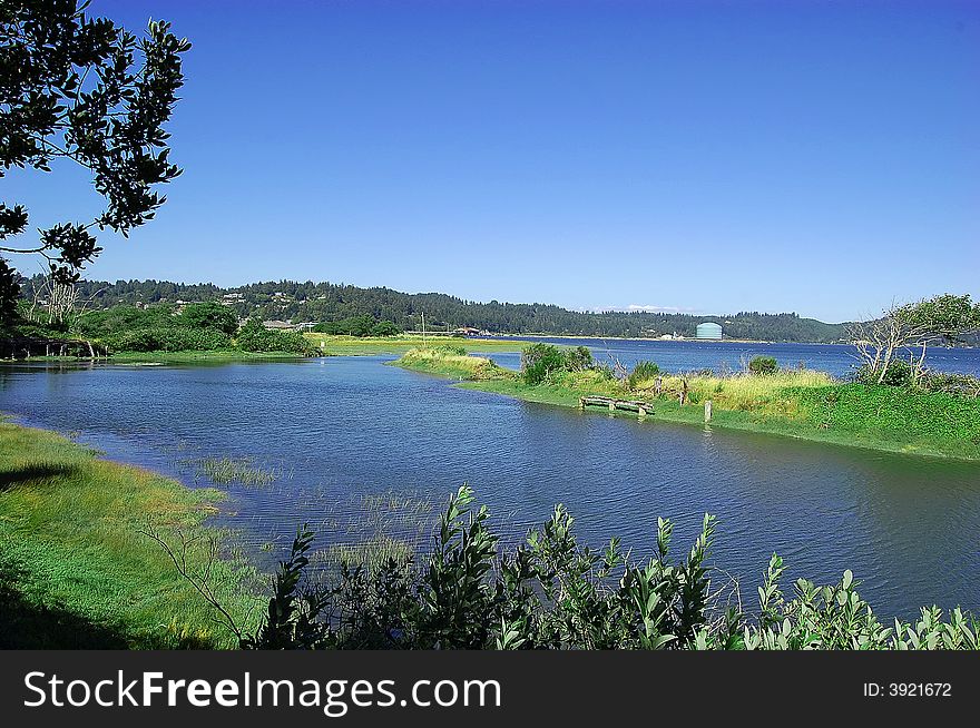 A river meeting grasslands with various plants, shrubs, and trees with a clear blue sky. A river meeting grasslands with various plants, shrubs, and trees with a clear blue sky.