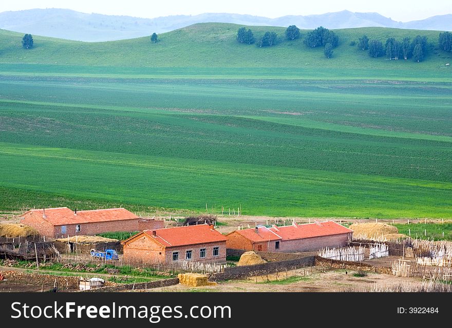This is a residential area in Bashang Grassland of Inner Mongolia. This is a residential area in Bashang Grassland of Inner Mongolia