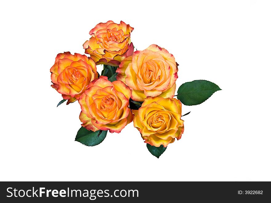 Bouquet Of Roses.close Up