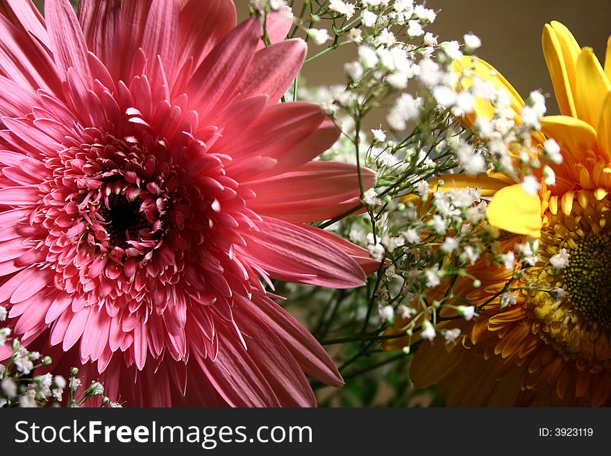 Yellow and pink flowers in a bouquet