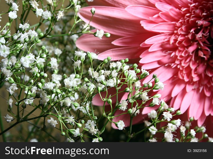 Pink and little white flowers in bouquet