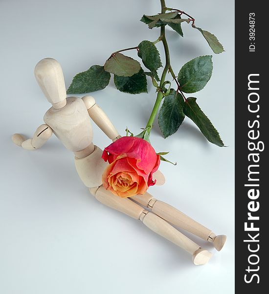 A female mannequin with a rose, isolated on white.  Photographed in a studio. A female mannequin with a rose, isolated on white.  Photographed in a studio.