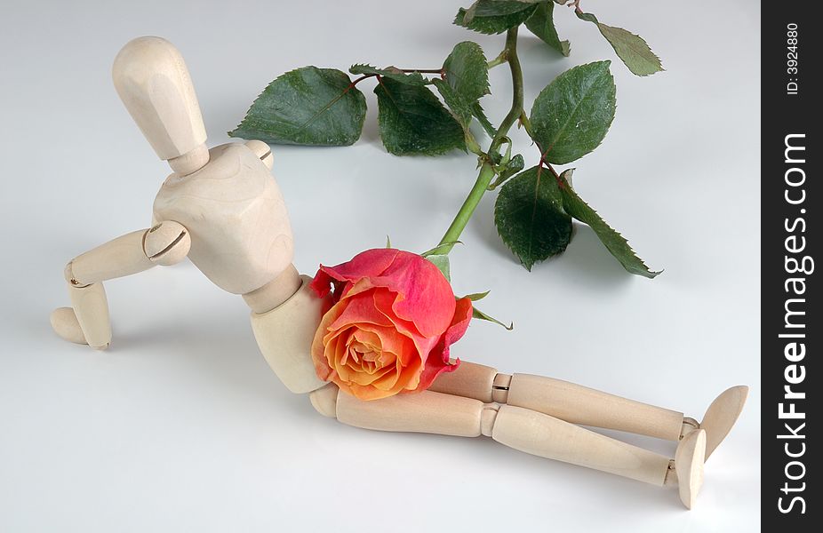 A female mannequin with a rose, isolated on white. Photographed in a studio. A female mannequin with a rose, isolated on white. Photographed in a studio.