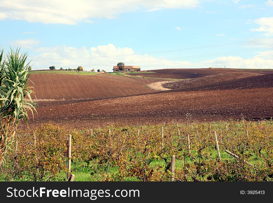 Beautiful autumn country landscape.  Wineyards, cultivated land, hill with a way for the farm and blue sky & clouds. Sicily, Italy. Beautiful autumn country landscape.  Wineyards, cultivated land, hill with a way for the farm and blue sky & clouds. Sicily, Italy