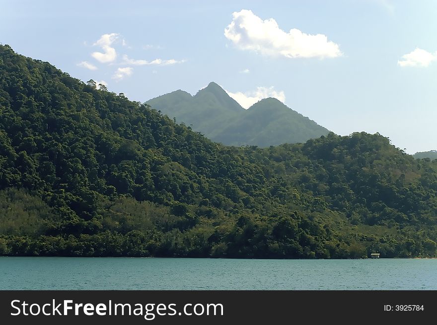 Tropical island covered in forest. Tropical island covered in forest