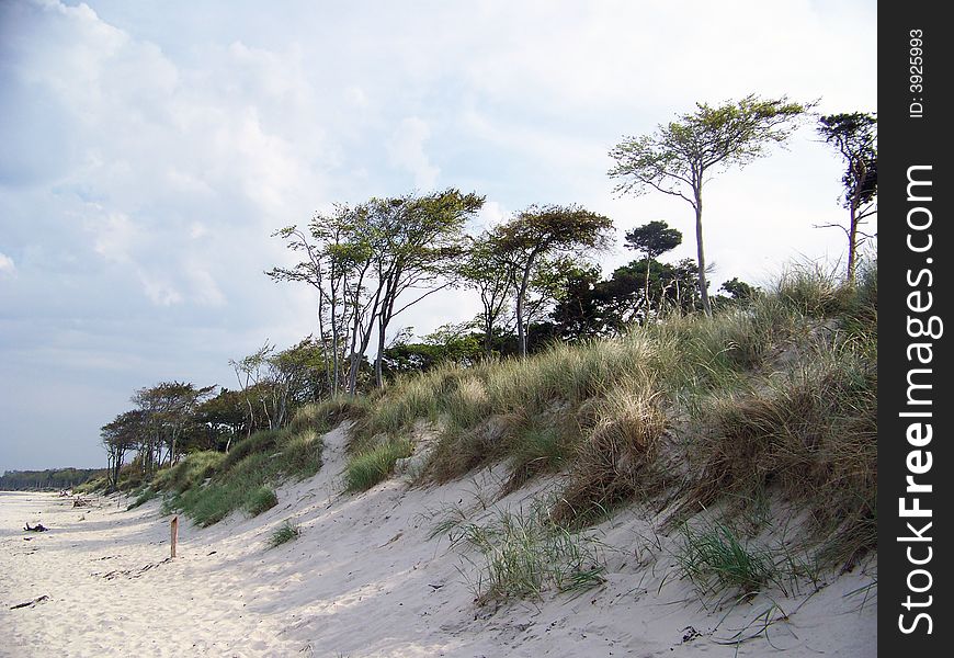 Dune in summer by baltic sea