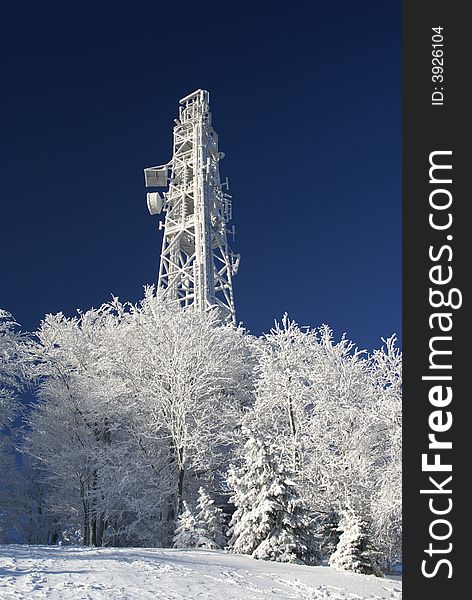 Frozen transmitter with trees on clear sunny winter day.