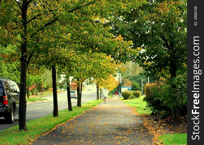 A view of autumn in a neighborhood. A view of autumn in a neighborhood