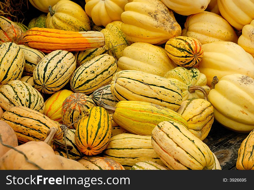 Piles of colorful yellow gourds - close-up detail