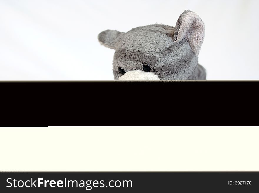 Toy-cat with head hanging against white background. Toy-cat with head hanging against white background