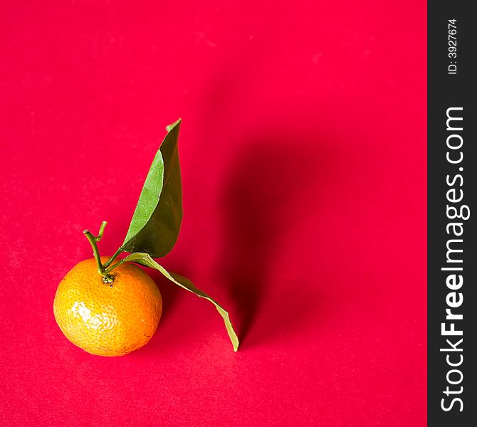 Still life of a single small tangerine with relatively large leaves on red background illuminated from the side by the morning sun. Still life of a single small tangerine with relatively large leaves on red background illuminated from the side by the morning sun