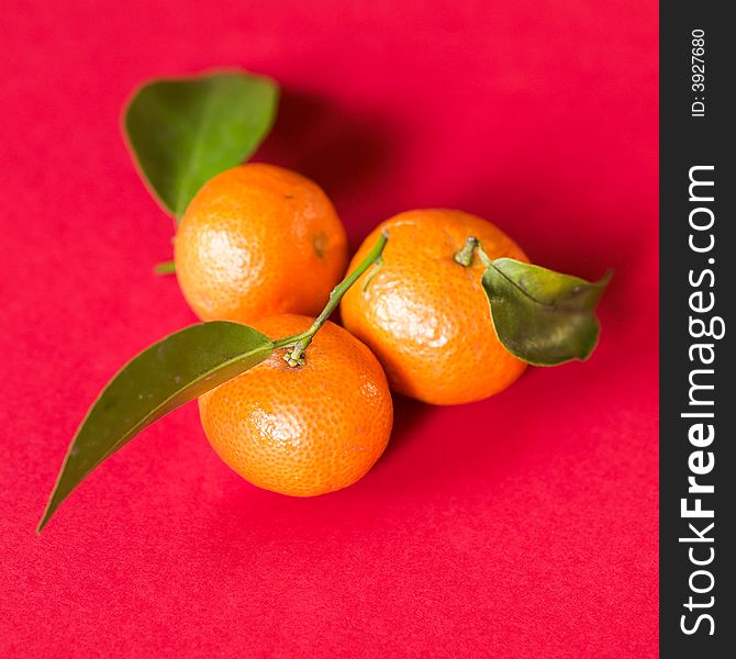 Still life of three small tangerine with leaves on red background illuminated from the side by the morning sun. Still life of three small tangerine with leaves on red background illuminated from the side by the morning sun