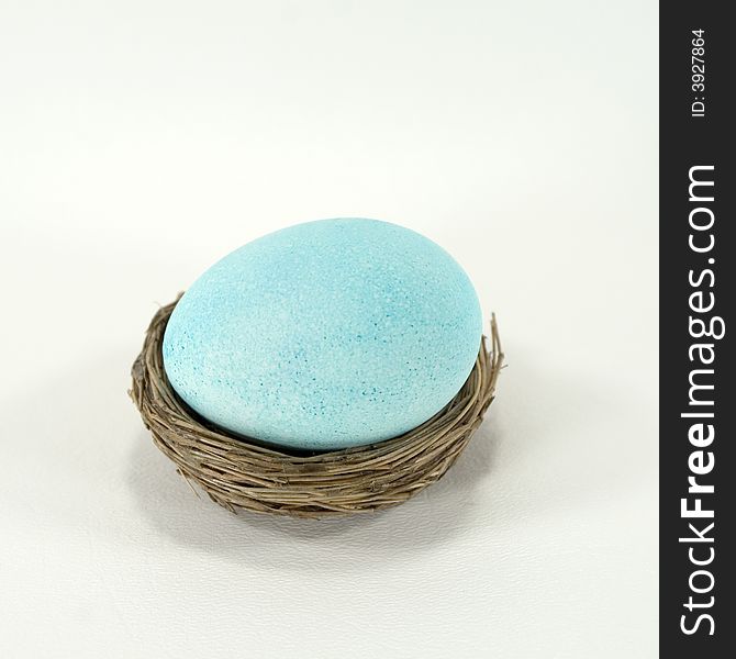 Light pastel blue egg in a nest.