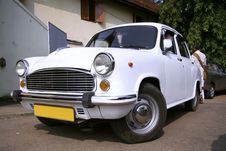 Sparkling White Ambassador Stock Photo Sparkling White Ambassador Stock Photo