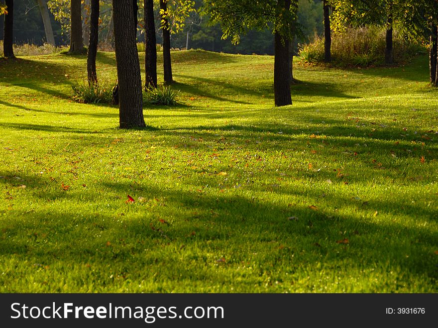 Early morning sunlight in the meadow, fall season