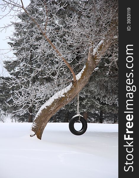 A lonely and cold tire swing hanging completely still from a large tree in the winter