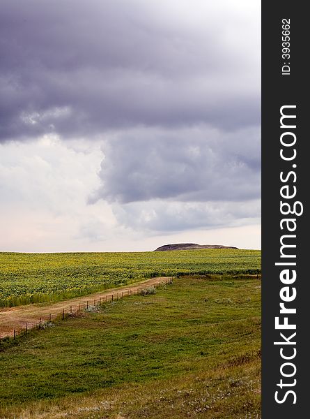 Storm clouds over sunflower field with butte and green pasture in background. Storm clouds over sunflower field with butte and green pasture in background