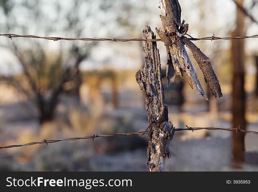 Barbed wire at sunset with a twisted broken stick. Barbed wire at sunset with a twisted broken stick.